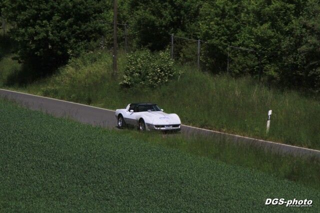 DGS-pic0560